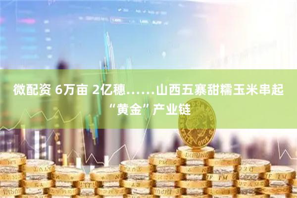 微配资 6万亩 2亿穗……山西五寨甜糯玉米串起“黄金”产业链