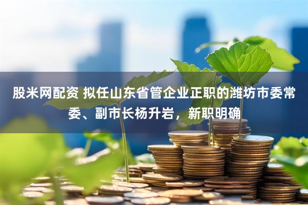 股米网配资 拟任山东省管企业正职的潍坊市委常委、副市长杨升岩，新职明确