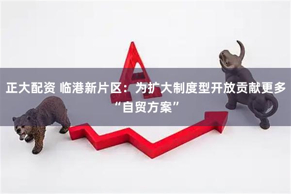 正大配资 临港新片区：为扩大制度型开放贡献更多“自贸方案”